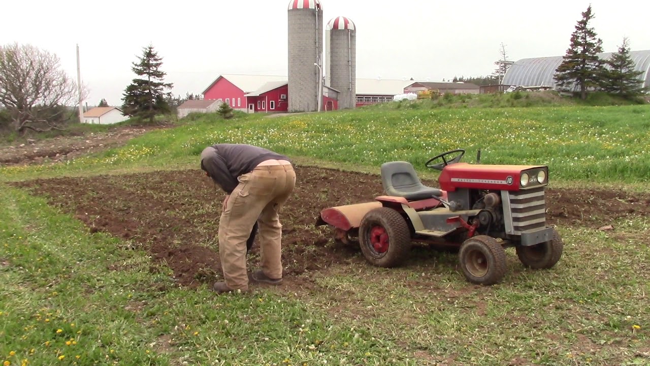 1966 Massey Ferguson MF10 with Garden Tiller