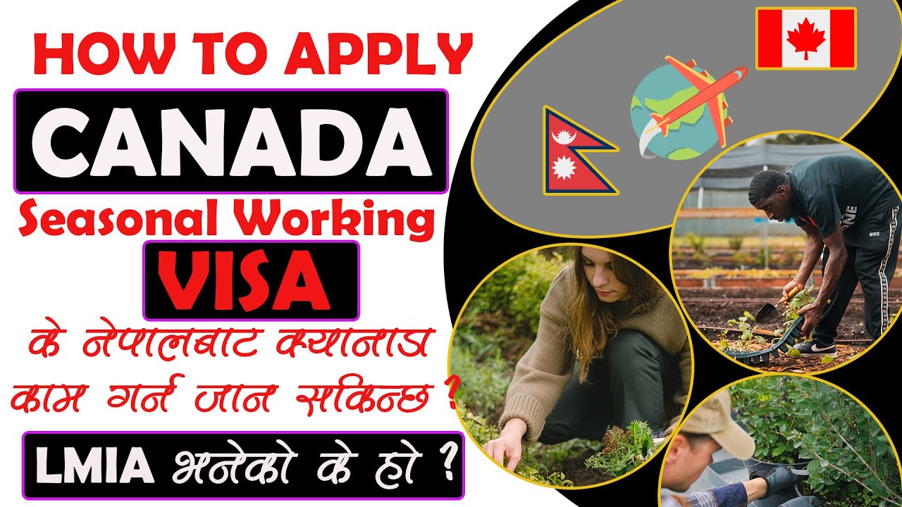 How to Apply Canada Seasonal Working Visa from Nepal.Nepal bata Canada kasari jani?
