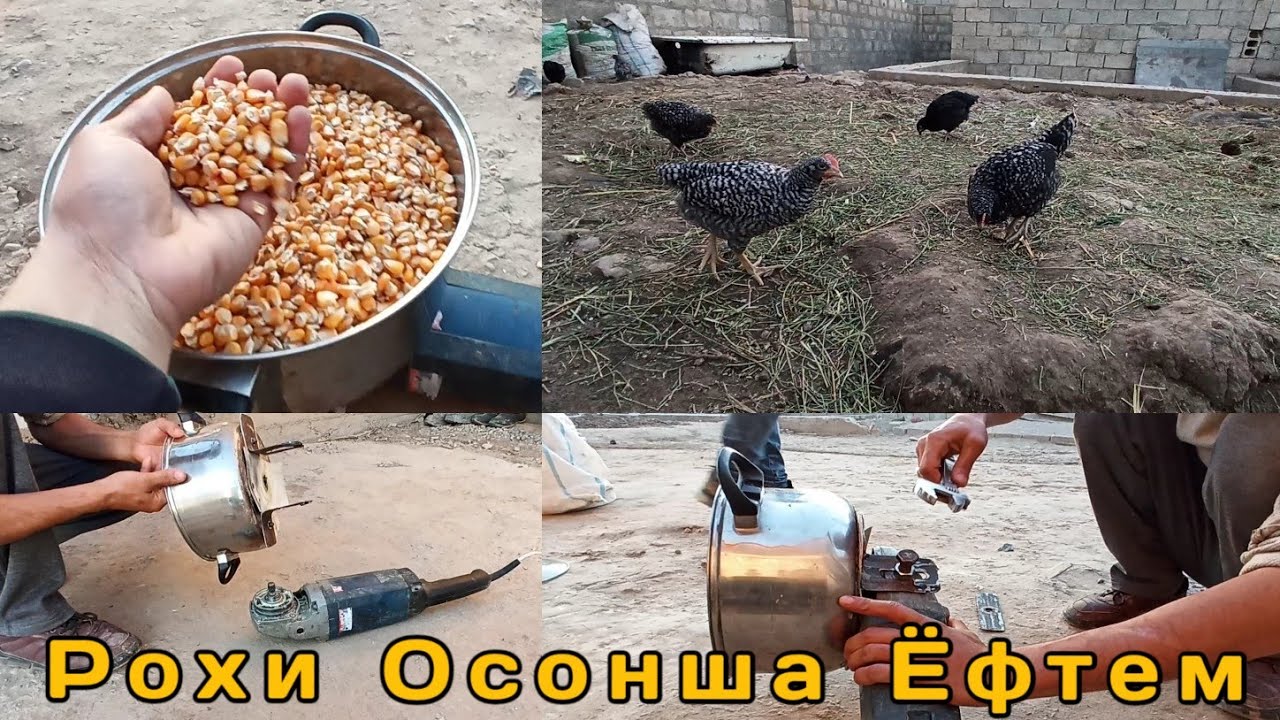 Чавонмарди Точик Рохи осони кори худро ёфт