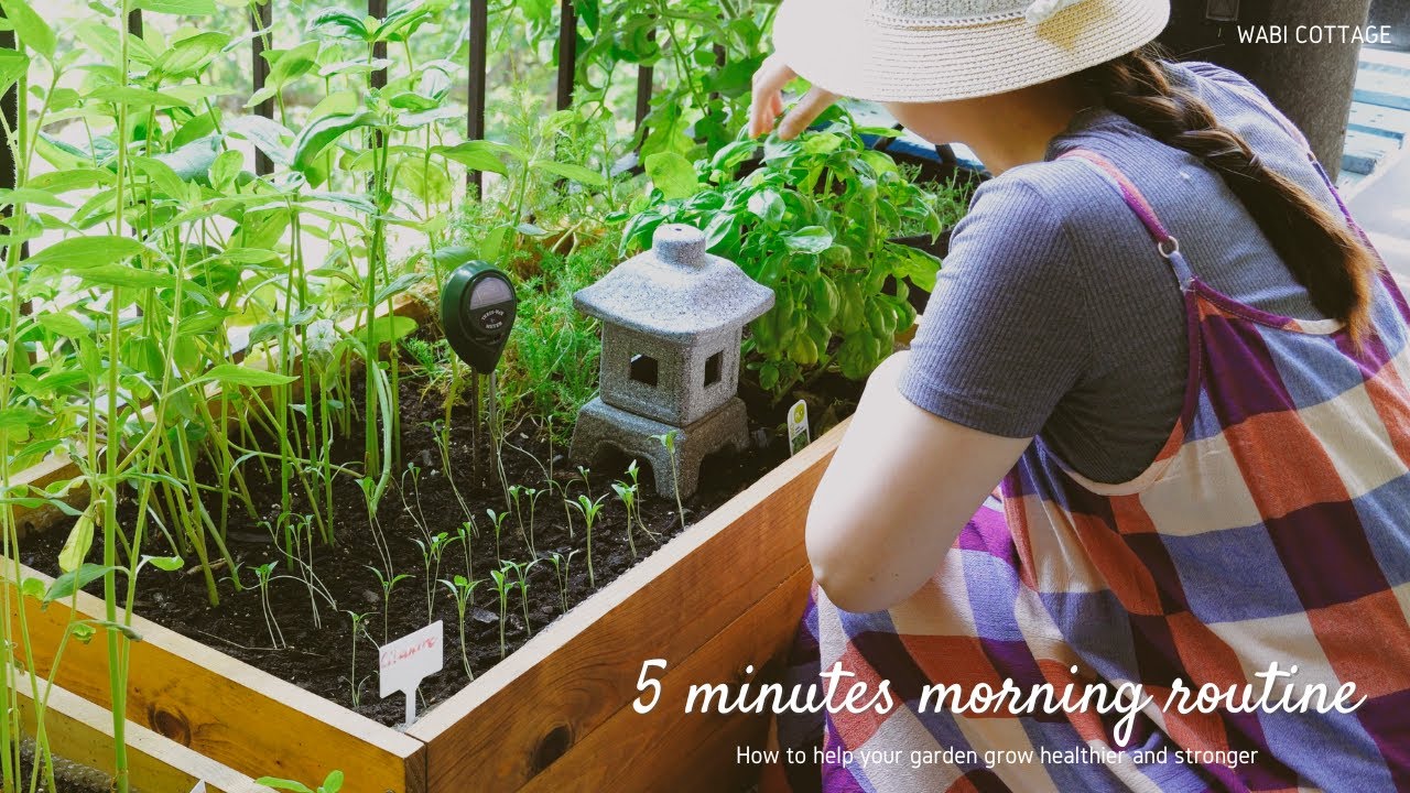 The secret of 5 minutes morning routine to keep the garden alive/Trồng vườn 4K - Wabi Cottage