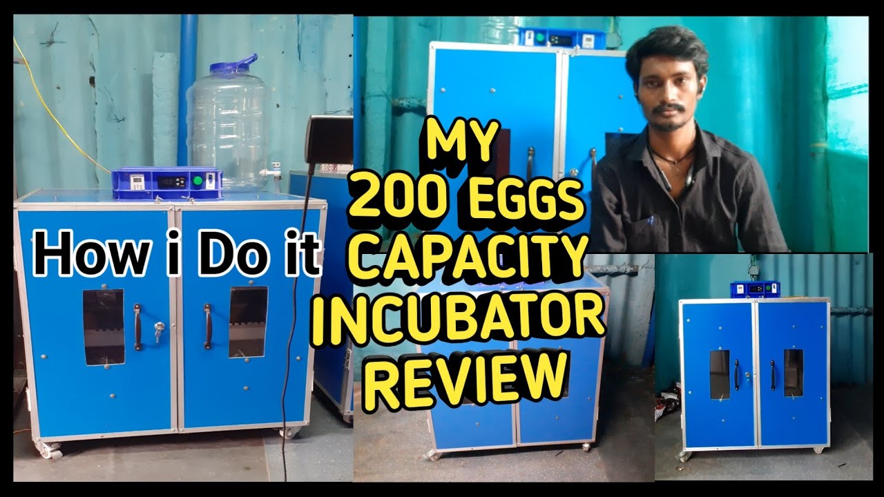 My 200 Eggs Incubator  REVIEW  in Tamil
