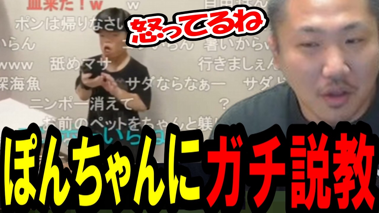 横山緑にガチ説教されるぽんちゃんを見るなあぼう
