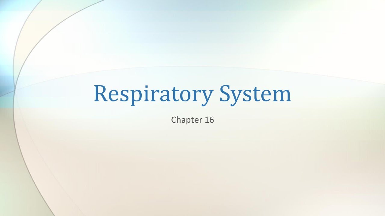 Respiratory system Anatomy and Physiology 2