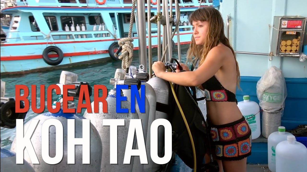 🇹🇭  KOH TAO, Tailandia; el buceo más BARATO del mundo