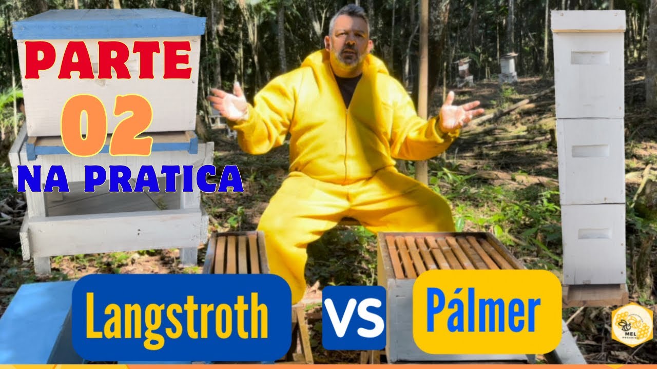 Transformando Colmeias em Pálmer San Andres