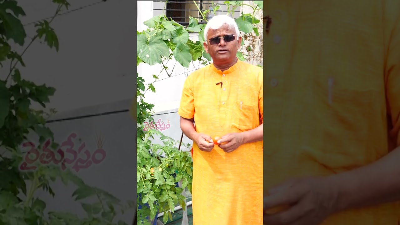 Varicose veins || Causes || Symptoms || Natural Treatment || Dr.KhaderVali #millet @Raitunestham