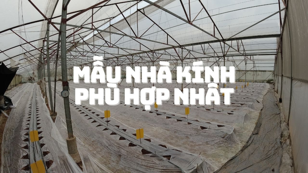Mẫu nhà kính phù hợp nhất.