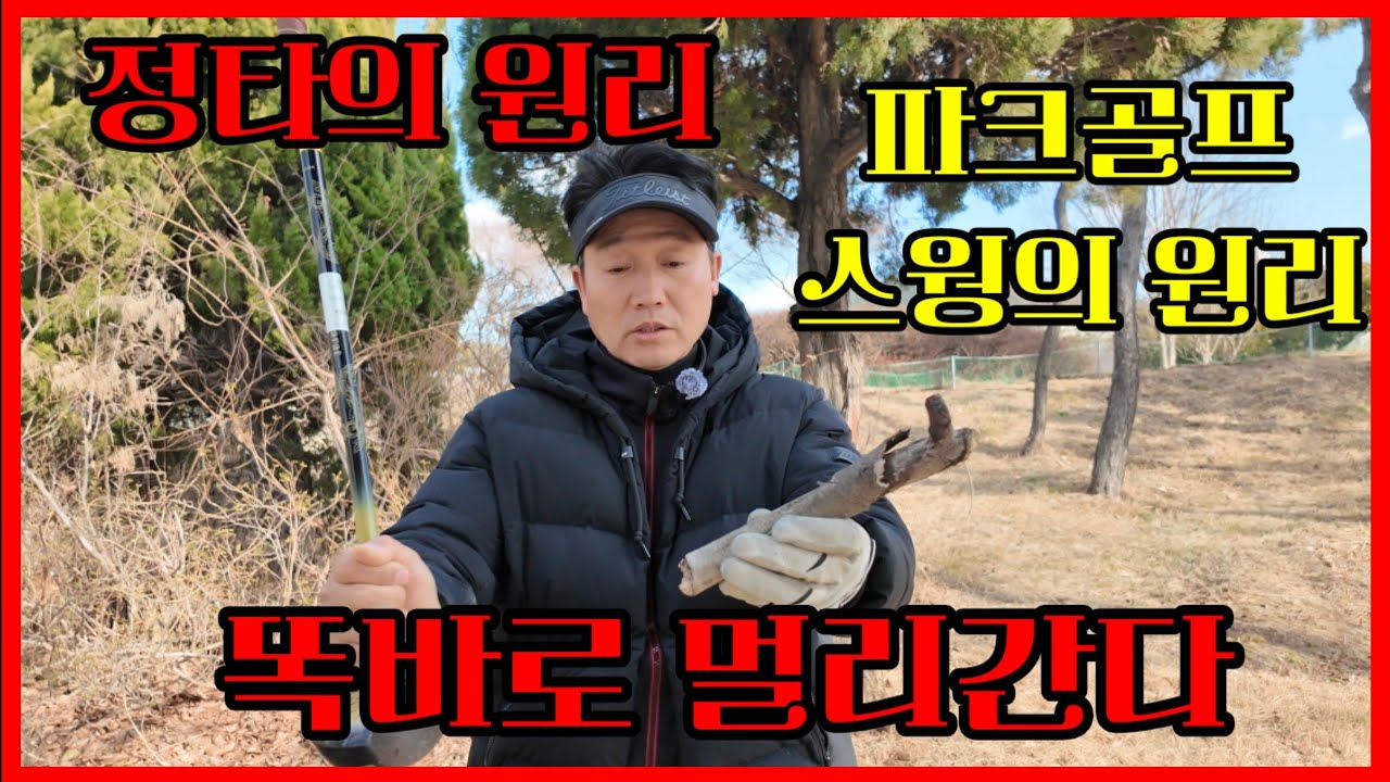 ⛳️파크골프 ⛳️정타의원리 똑바로 멀리치는방법