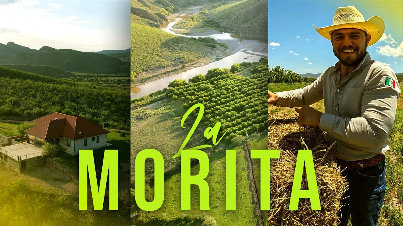 LA MORITA de BAVISPE, SONORA | La estancia cómoda de la sierra alta.