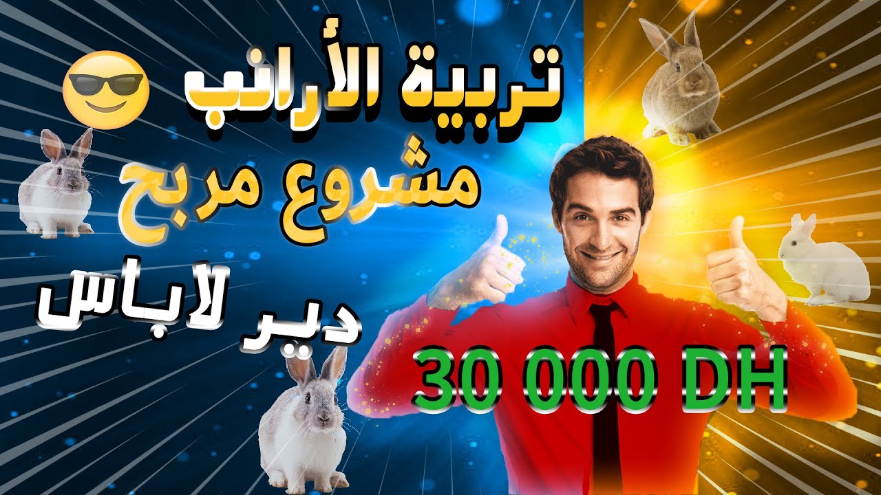 💲💲دراسة جدوى مفصلة لتربية الأرانب مشروع بسيط لكنه مربح جدا  🐇🐇