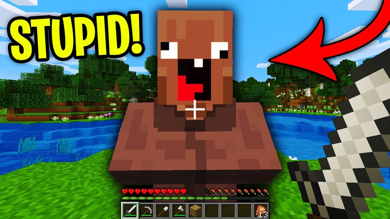 This STUPID VILLAGER griefed our Minecraft Base....