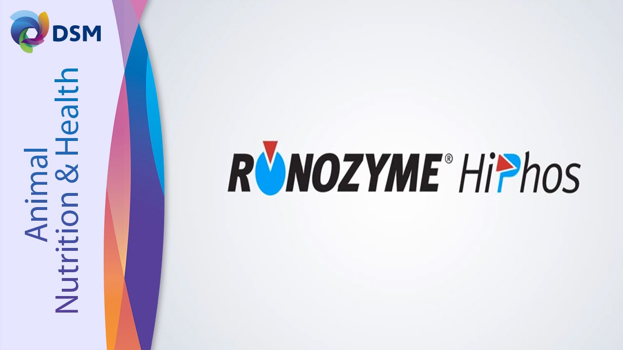 RONOZYME® HiPhos Launch - The Feed Enzymes Discovery Timeline