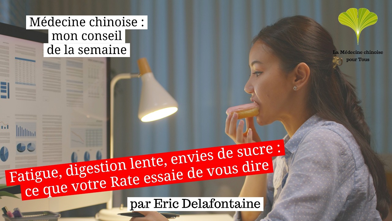 Fatigue, digestion lente, envies de sucre : ce que votre Rate essaie de vous dire