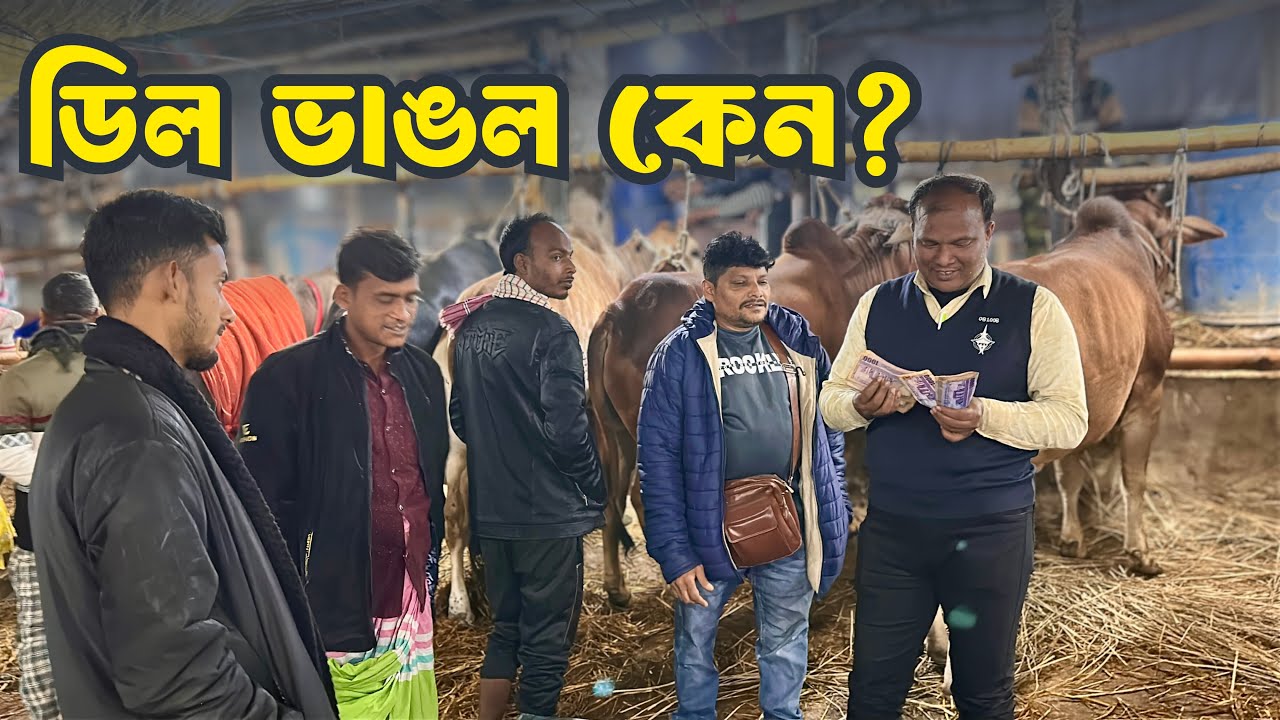 গাবতলী হাটে একের পর এক মিস ফিল্ডিং! কেন ডিল ভাঙল? | Akram Vai Miss Fielding | Gabtoli Haat