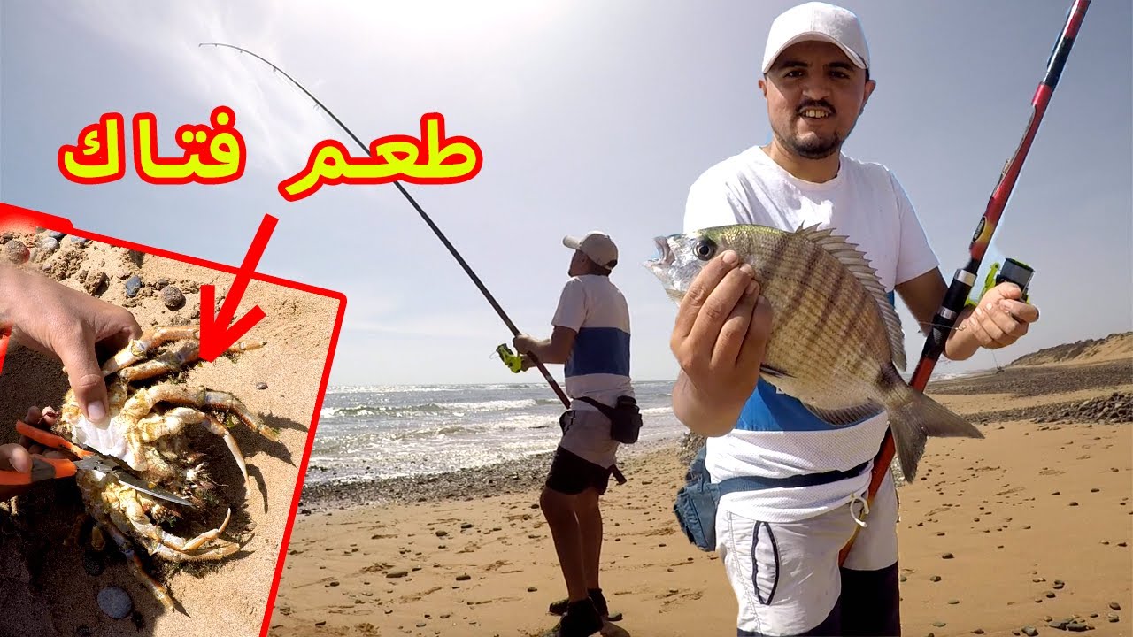 مونطاج وطريقة التطعيم بالعكريش الفاسخة  لصيد أسماك الشرغو الكبيرة