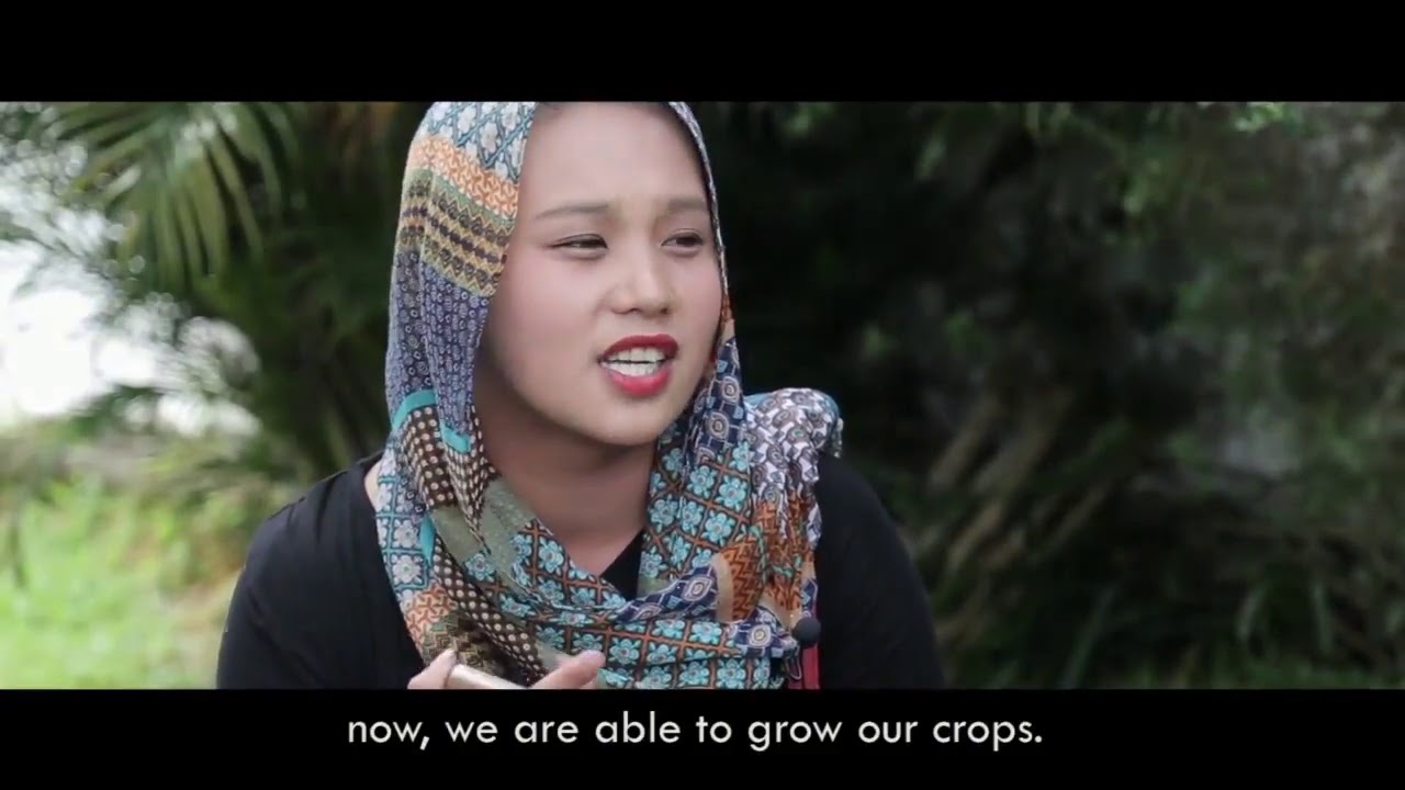 RAINFOREST INITIATIVE BY HINELEBAN FOUNDATION