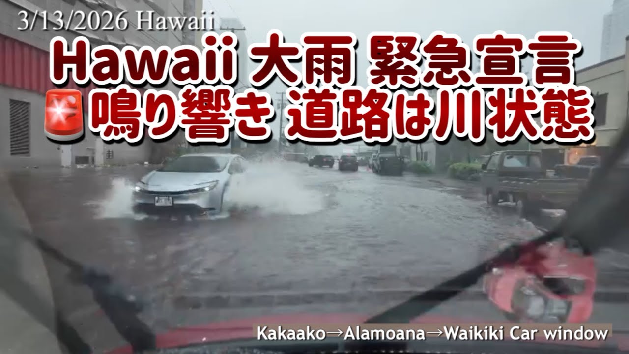 【ハワイ 大雨】ホールフーズ辺りは川です！カカアコ→アラモアナ→ワイキキ 仕事休憩車窓