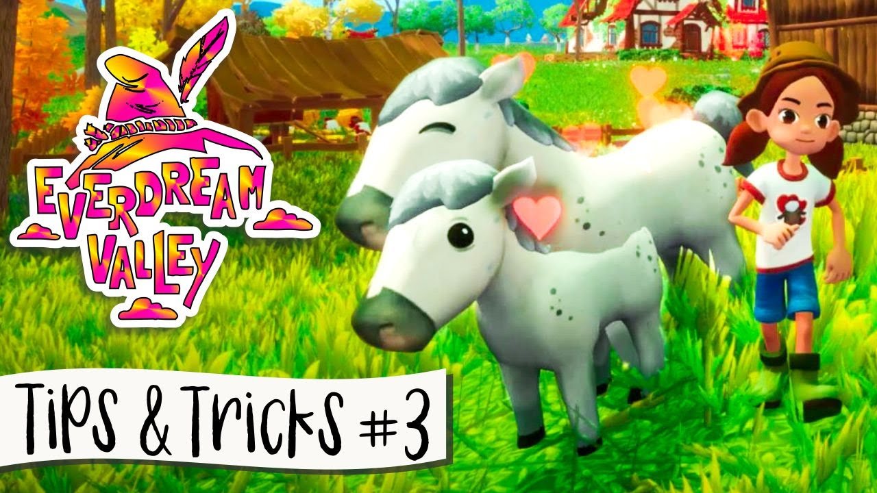 Everdream Valley Tips & Tricks #3 🌳 Final Quests Until Update