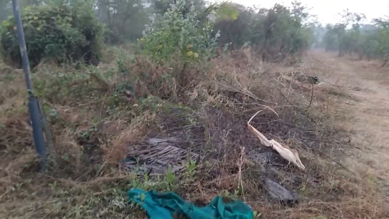 Kamare Valley Palghar # Good Climate