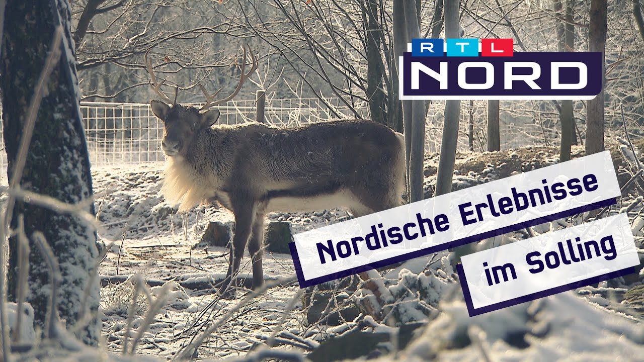 Wildnisfarm: Skandinavischer Flair im Weserbergland mit Rentieren und Huskys