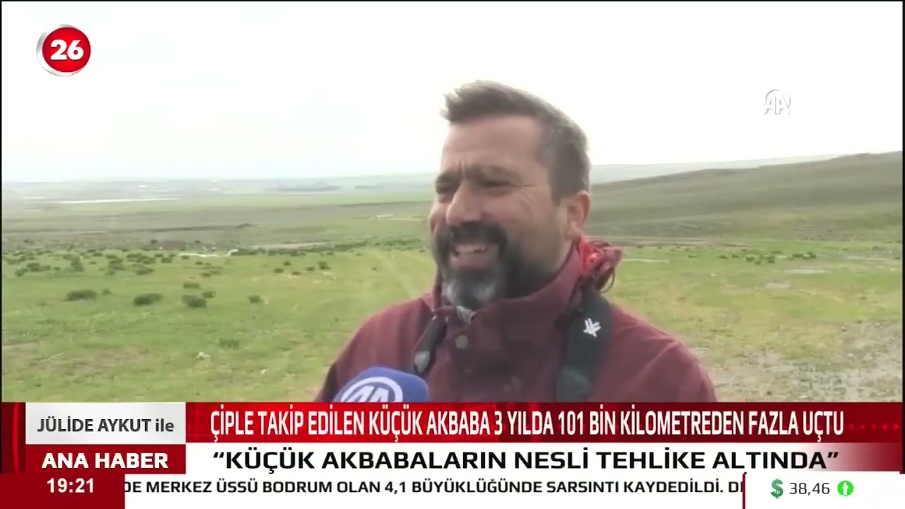 Çiple Takip Edilen Küçük Akbaba 3 Yılda 101 Bin Kilometreden Fazla Uçtu