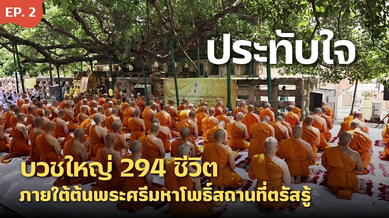 ประทับใจ บวชยิ่งใหญ่ 294 คน ใต้ต้นพระศรีมหาโพธิ์ สถานที่ตรัสรู้ เมืองพุทธคยา