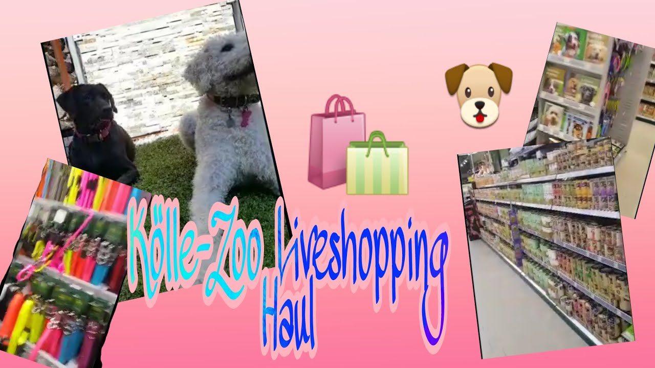 Liveshopping im Kölle Zoo🐶/ Hunde Haul🛍| luni cia