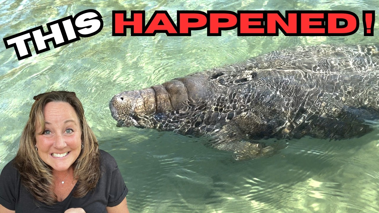 RV living: Crystal River, Florida Has so Much to Do!