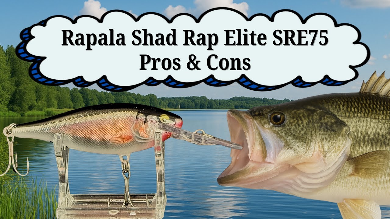 Rapala Shad Rap Elite SRE75 - Pros & Cons