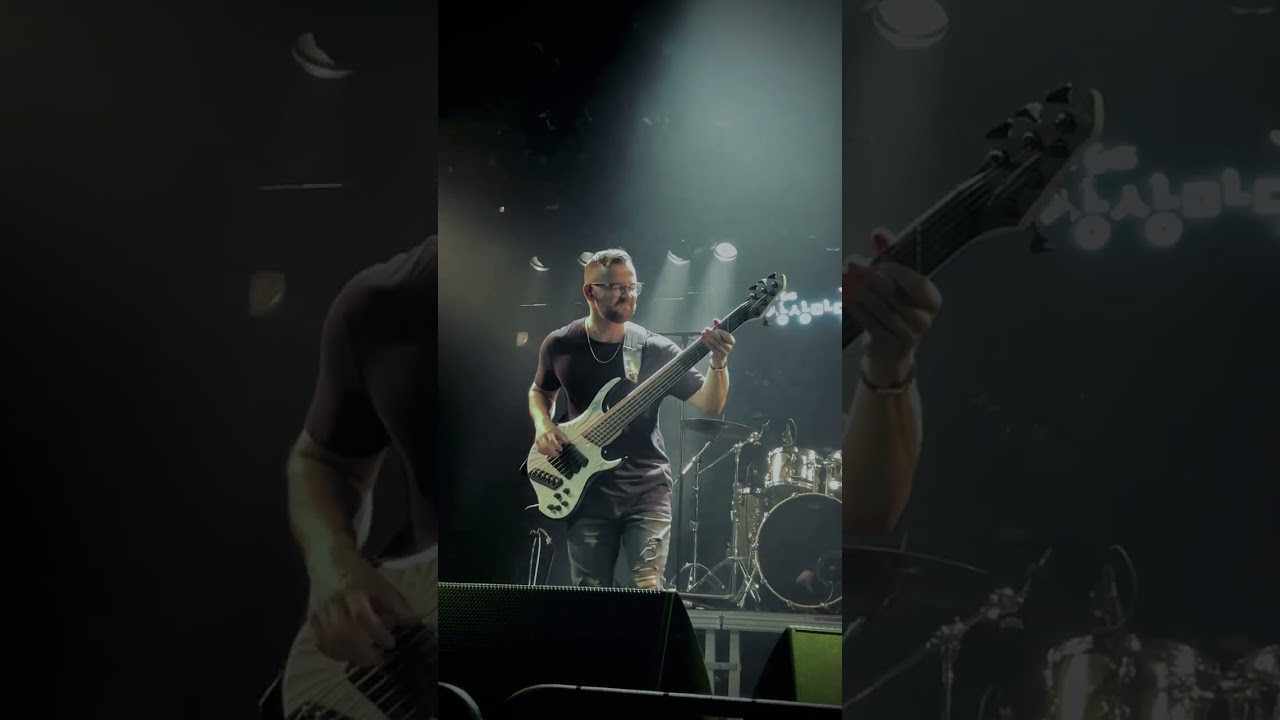 INTERVALS - Leave No Stone | LIVE BASS PLAY-THROUGH