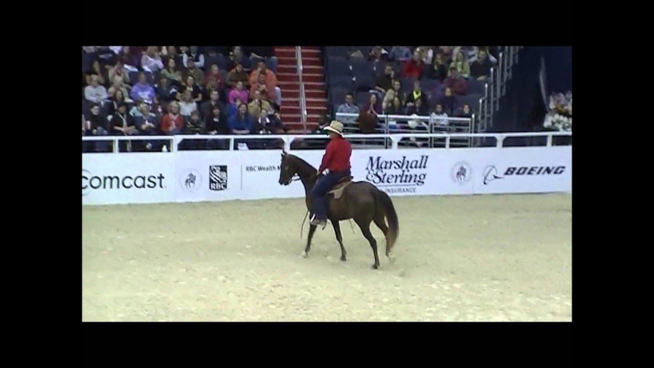 Guy McLean horsemanship part 1