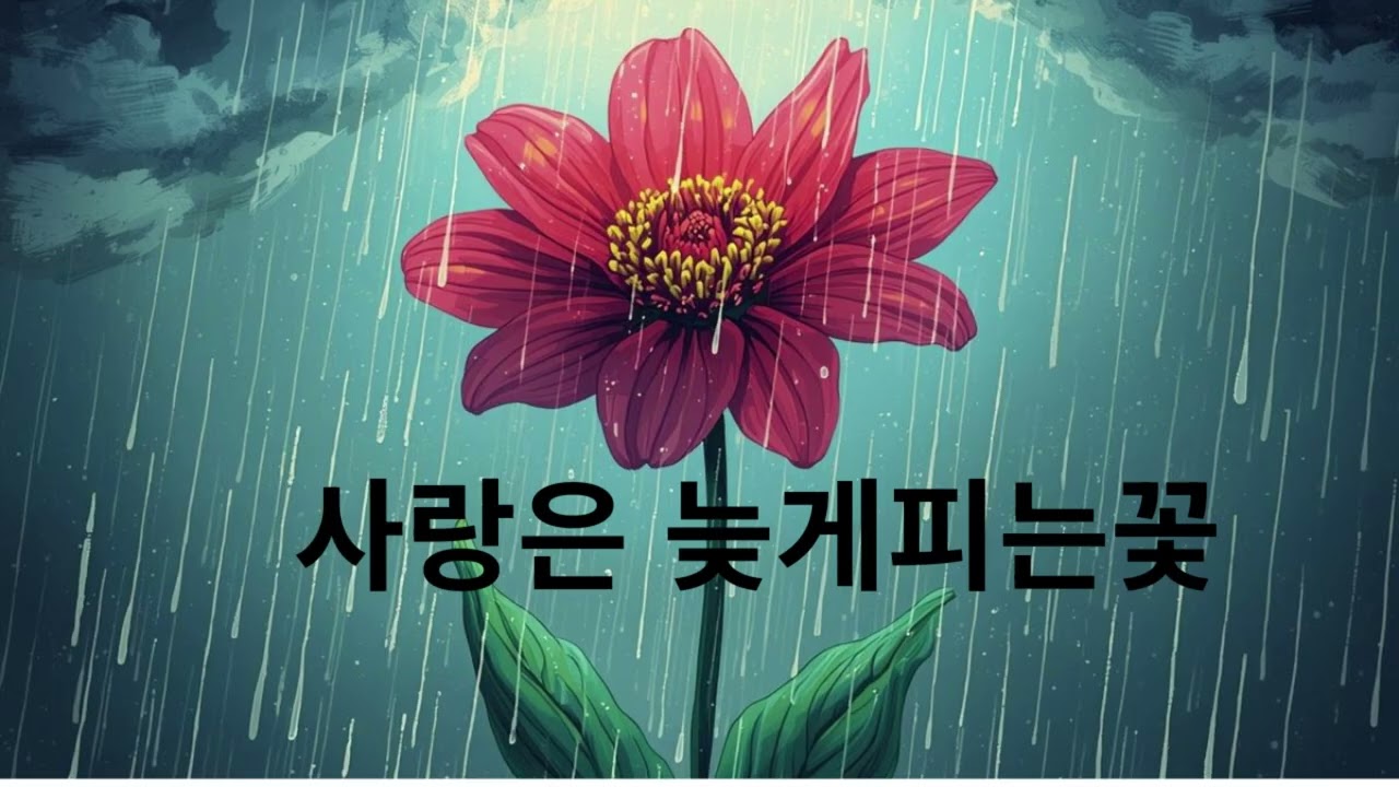 사랑은 늦게 피는꽃