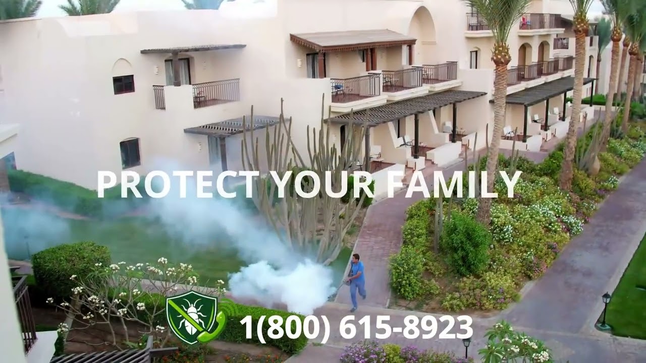 Top 3 Exterminators in Westmont