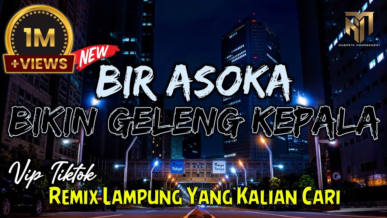 BIR ASOKA BIKIN GELENG KEPALA - REMIX LAMPUNG YANG KALIAN CARI ❗