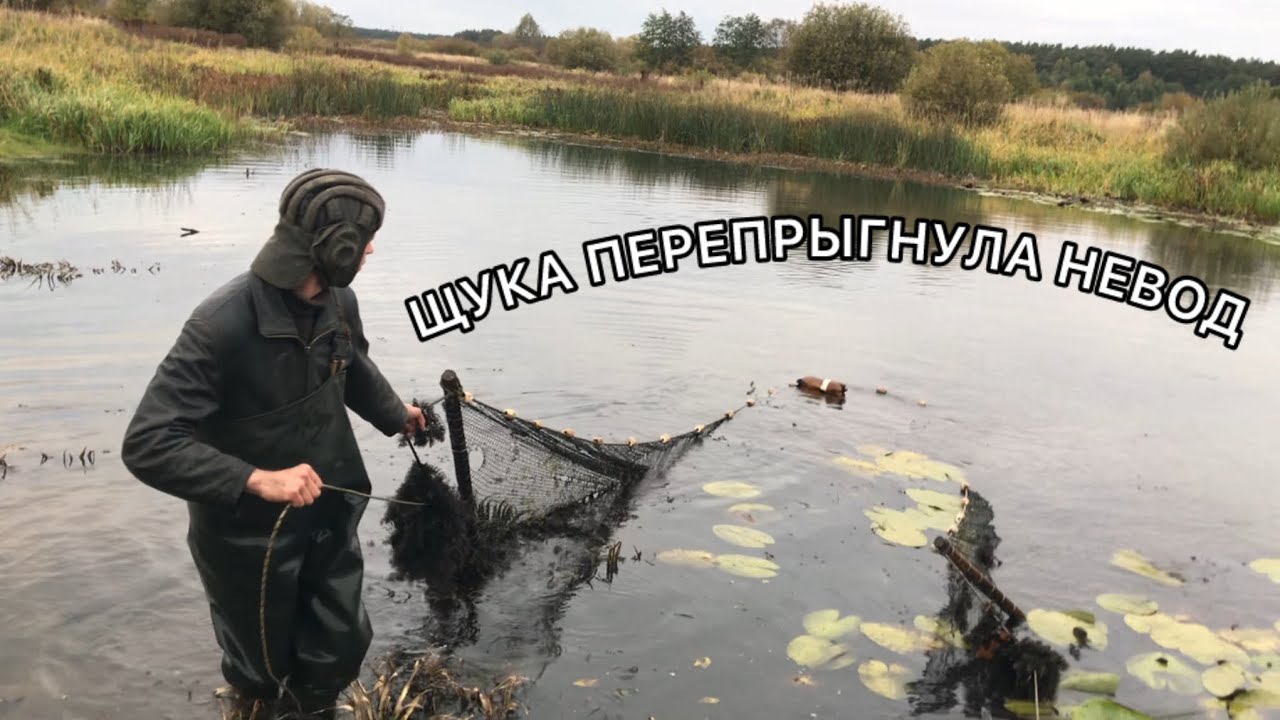АЗАРТНАЯ РЫБАЛКА НЕВОДОМ!ПОДАРИЛИ ЩУКУ ИМЕНИННИКУ!