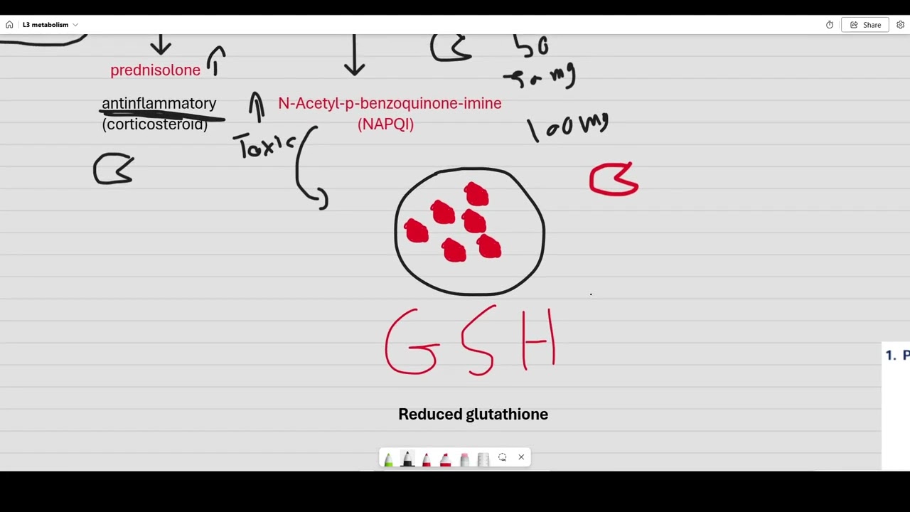 L3 general pharmacology Drug metabolism