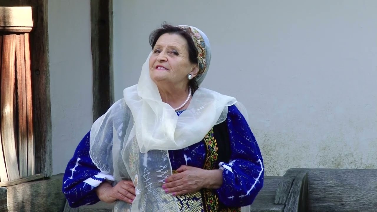 Ana BÂRDICI - Bate un vânticel de toamnă
