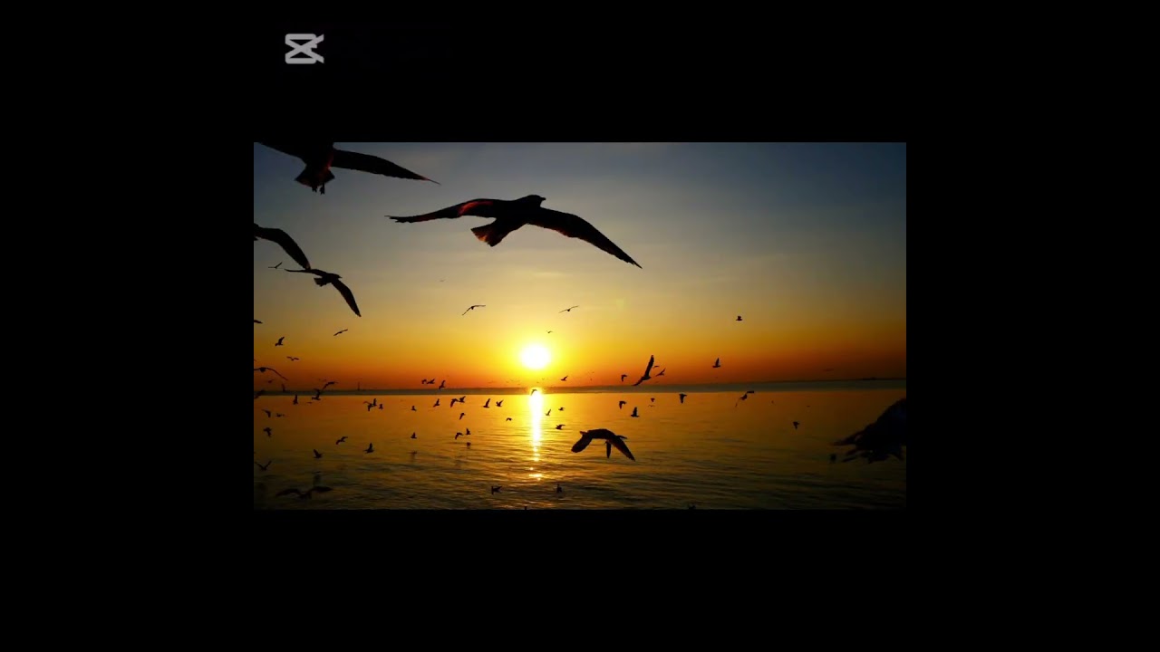 Atomic Habits - 1st Chapter (Tamil).  