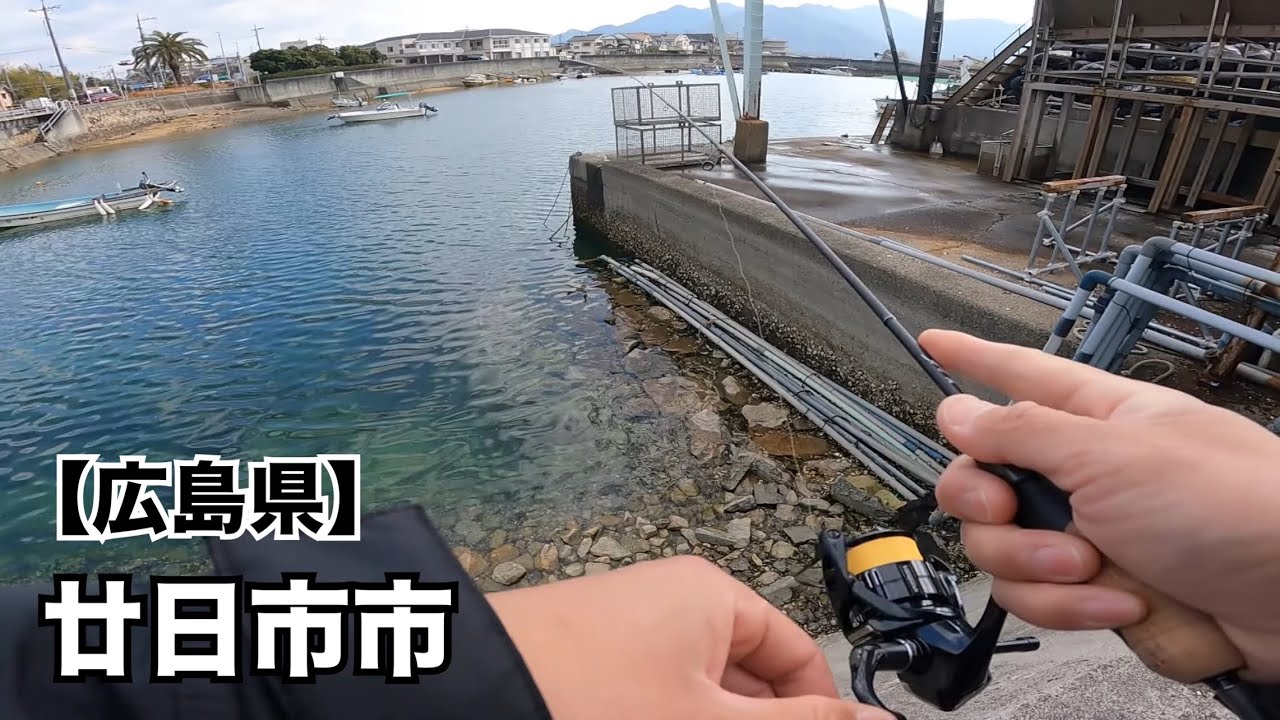 【広島釣り】3月の根魚調査‼️ずっと欲しかった憧れのロッドを使って入魂フィッシング🎣