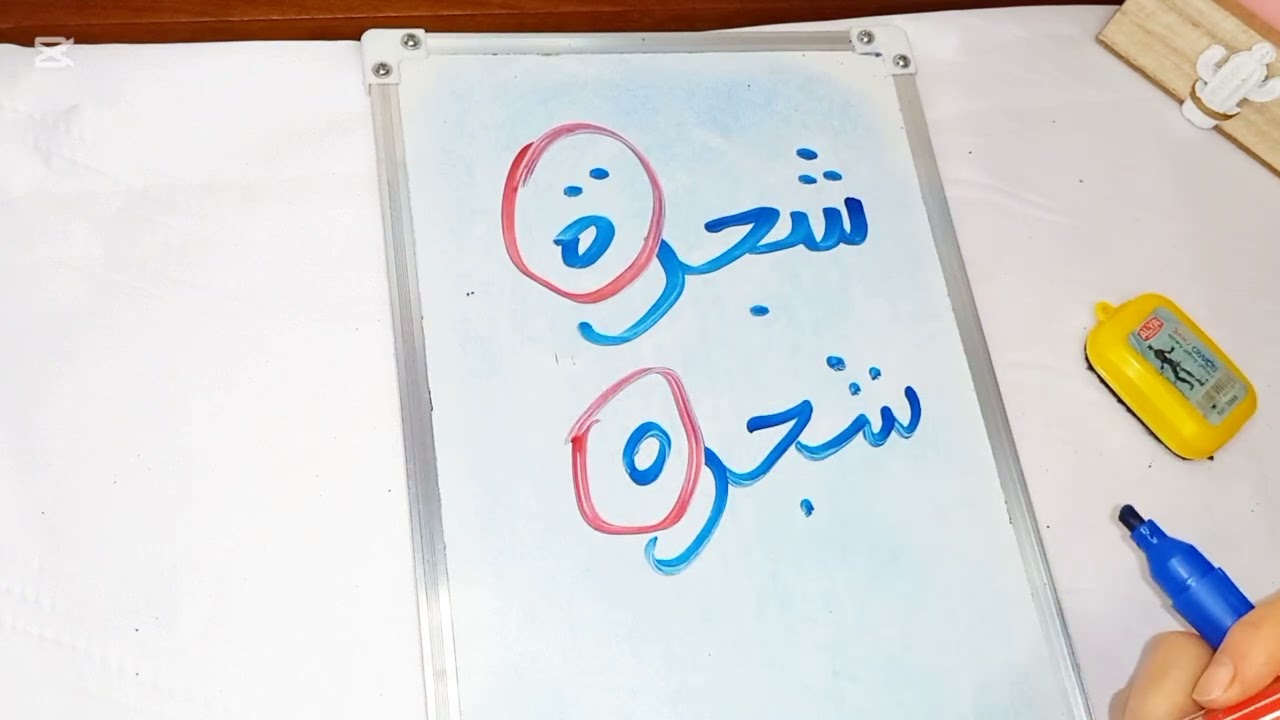 الفرق بين التاء المفتوحة والمربوطة في دقيقتين.. لن تخطئ في الإملاء بعد اليوم! ✍️✅