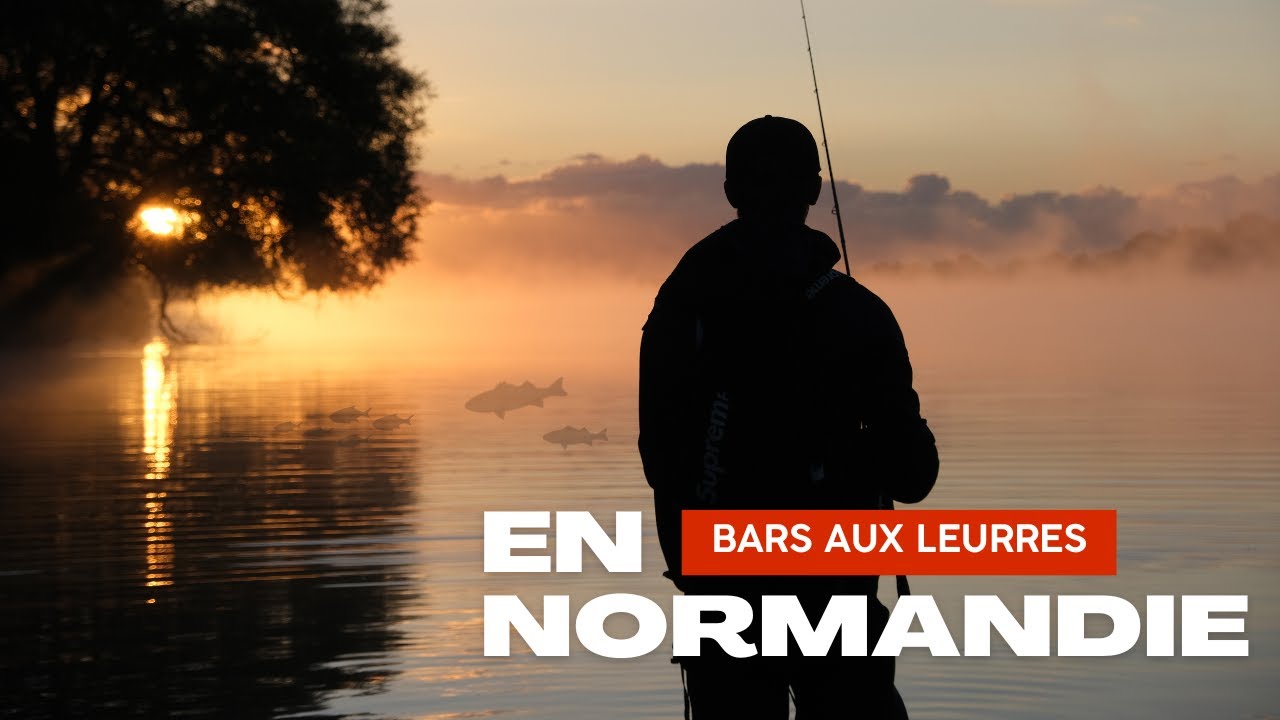 CETTE SESSION EST PHÉNOMÉNAL ! Pêche du bar en SURFACE et AUX LEURRES SOUPLES.