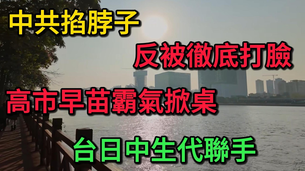 惹錯人了！中共掐脖子反被徹底打臉！高市早苗霸氣掀桌，台日中生代聯手！北京這回睡不著了！