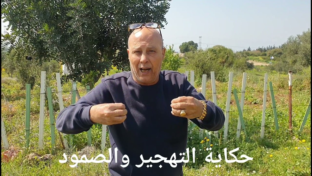معاصر الزيتون والعنب في قرية هوشه المهجرة