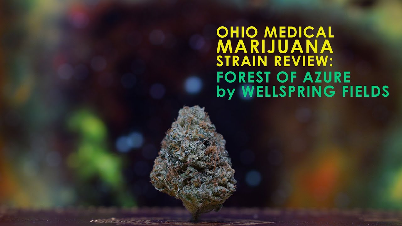 Ohio Medical Marijuana Strain Review - Forest of Azure by Wellspring Fields