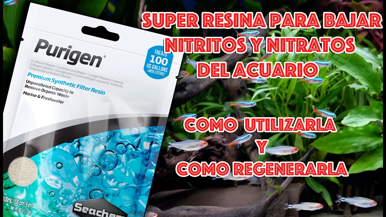 Purigen 💪 resina para bajar nitritos y nitratos del acuario 🐟 como usar y como regenerarla  ♻️