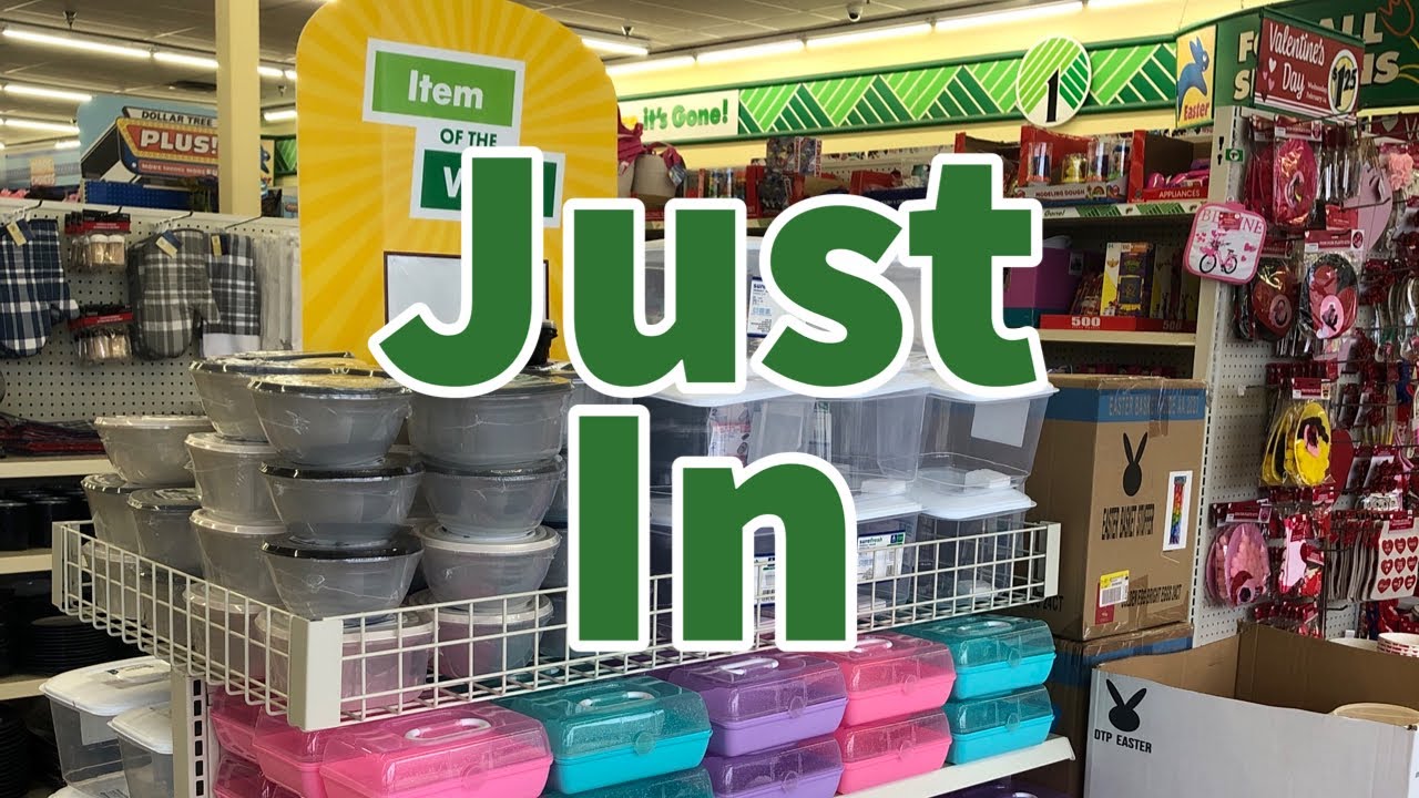 Dollar Tree 2024 | NEW Finds This Week😮😮😮