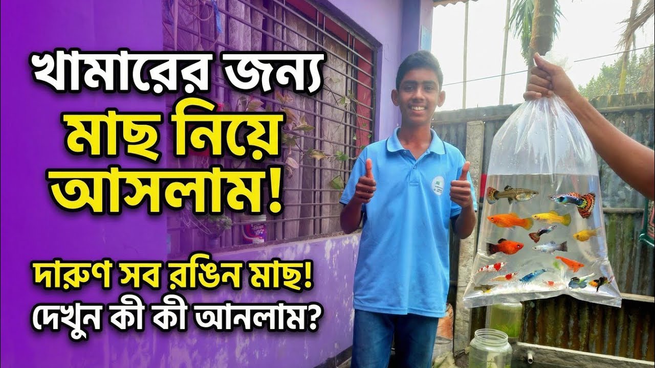 আমার খামারের জন্য কোন কোন রঙের মাছ নিয়ে আসলাম? #রঙিনমাছ #aquariumfish #aquriumfans #aquariumlife 