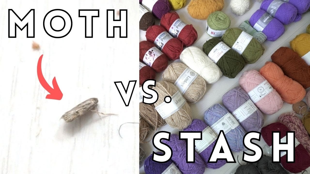 Yarn vs. Clothes Moths: Destash Disaster 😱🧶