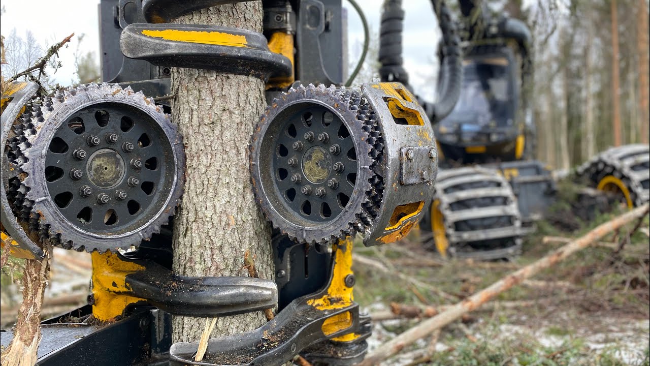 Clearfell | Ponsse Scorpion King H6 | 4K