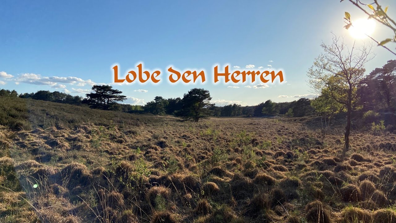 Lobe den Herren, den mächtigen König der Ehren EG 316